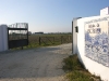 qta-doescaroupim4.jpg