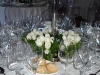 dsc03393.jpg