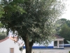 qta-dosanjos11.jpg